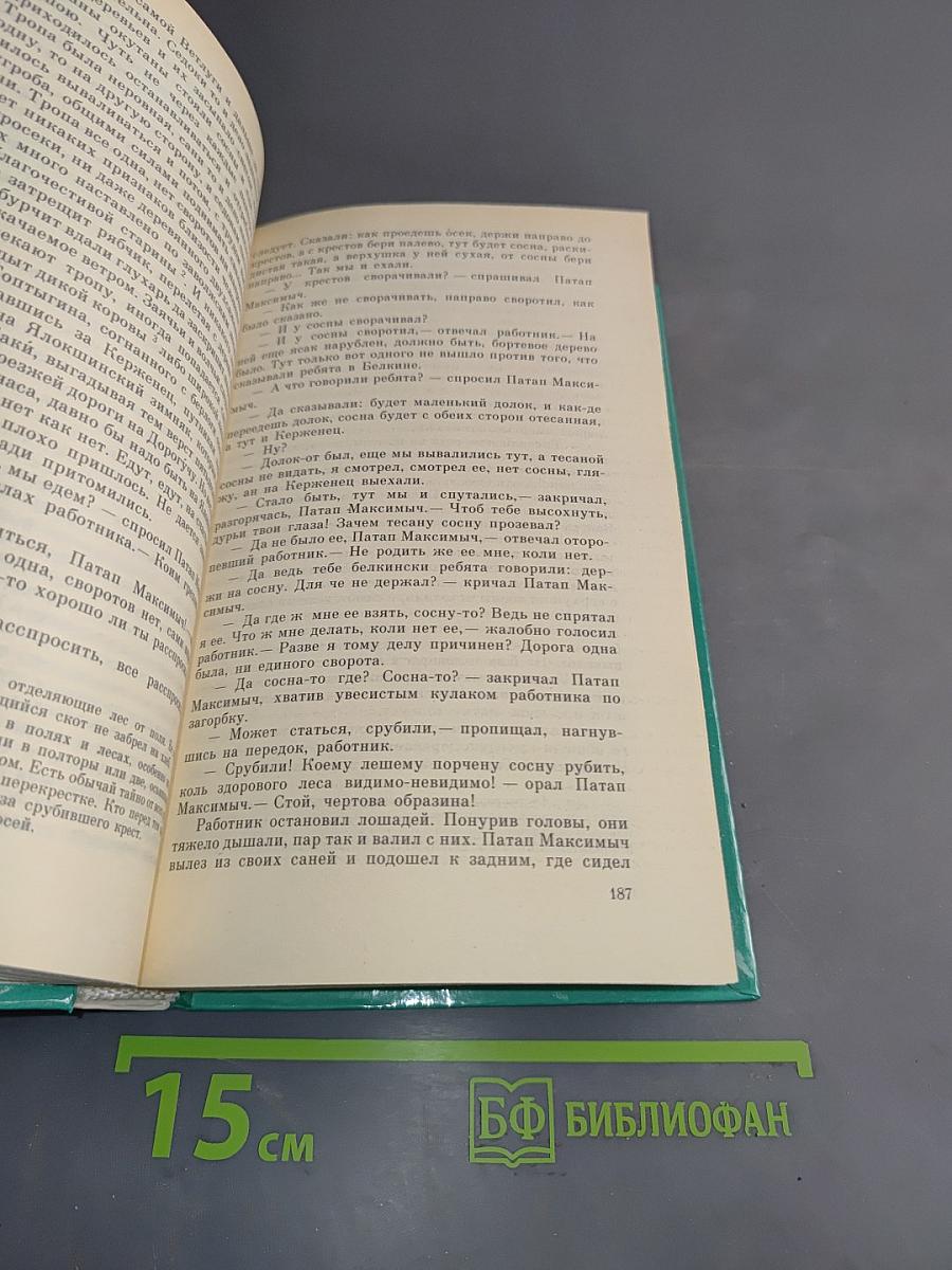 В лесах. Книга первая