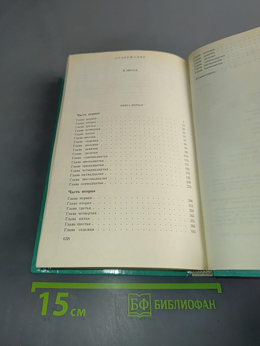 В лесах. Книга первая