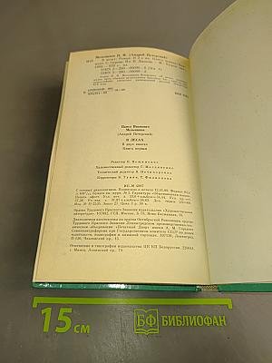 В лесах. Книга первая