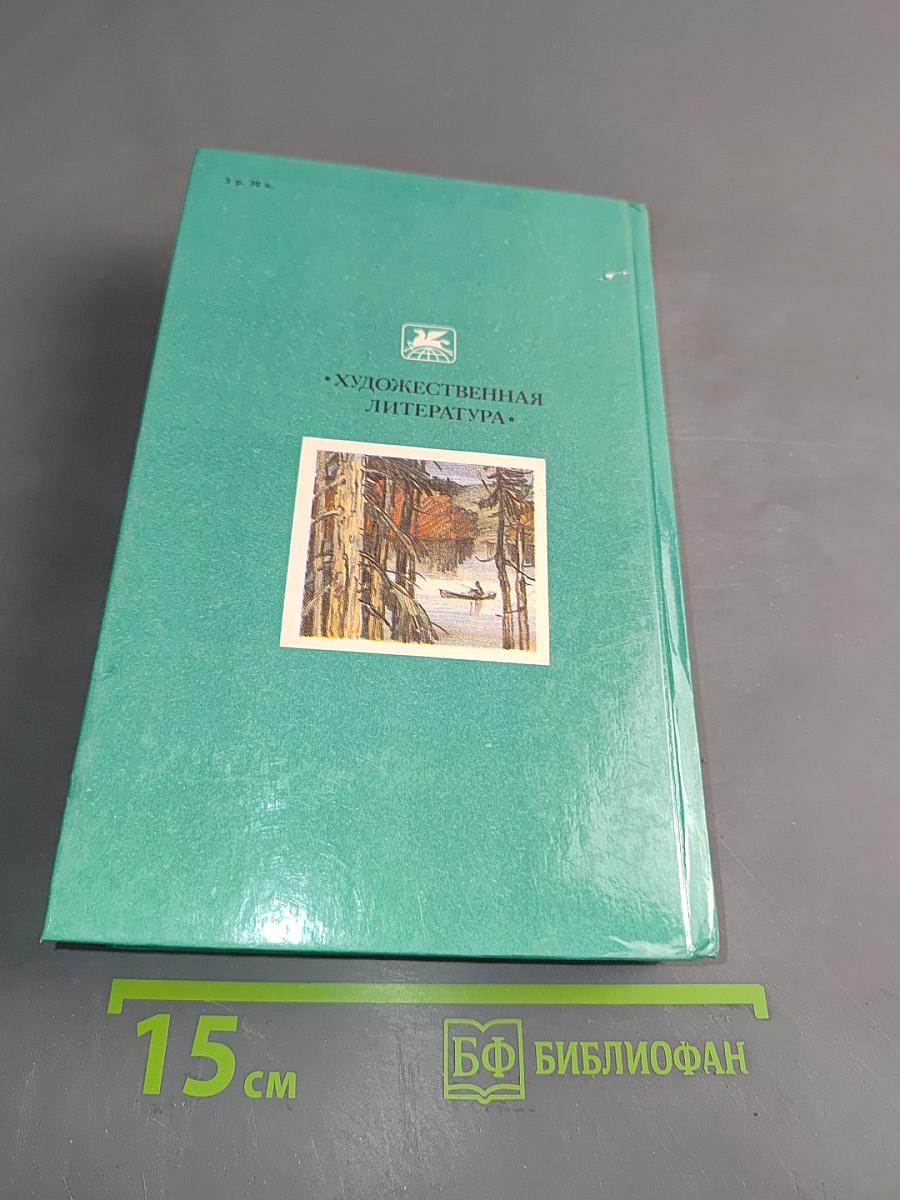 В лесах. Книга первая