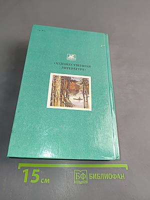 В лесах. Книга первая