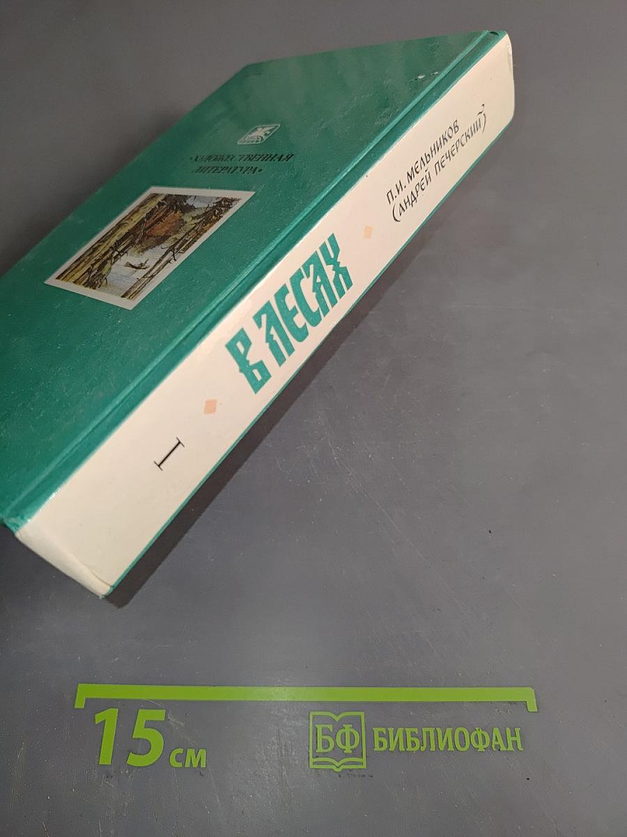 В лесах. Книга первая