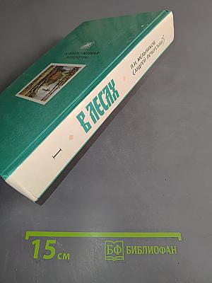 В лесах. Книга первая