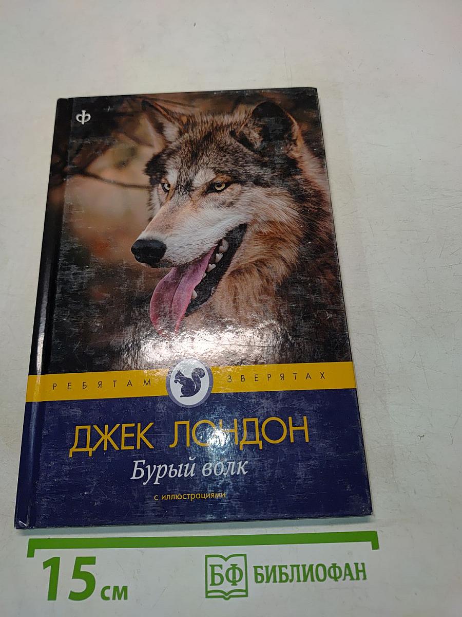 Бурый волк