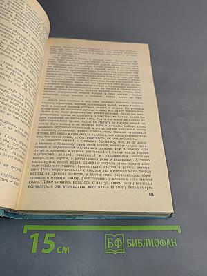 Кузнецкий мост. Книга III