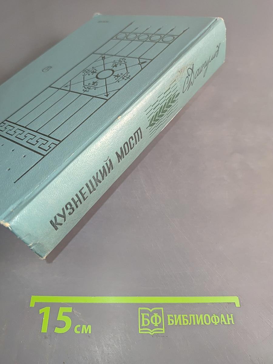 Кузнецкий мост. Книга III