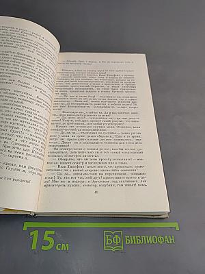 Современная идиллия