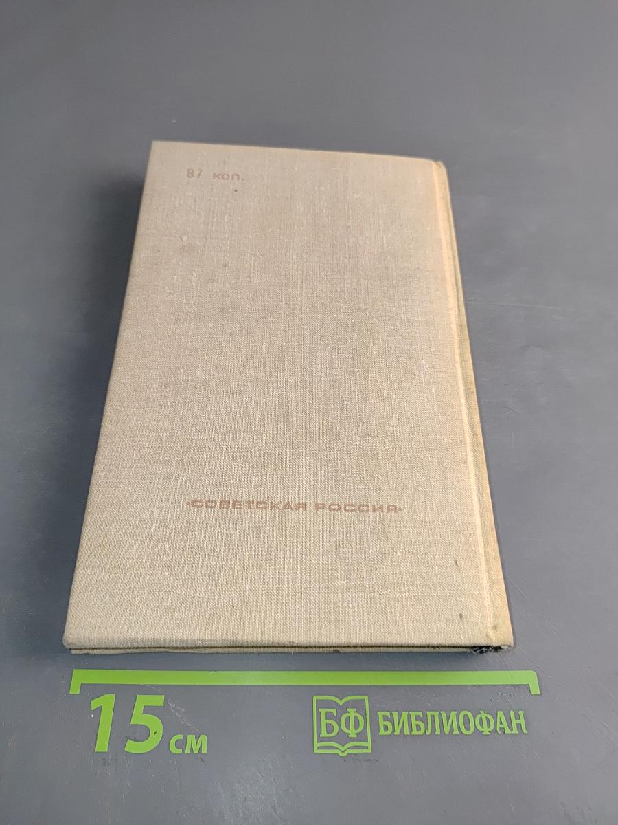 Современная идиллия