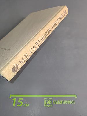 Современная идиллия