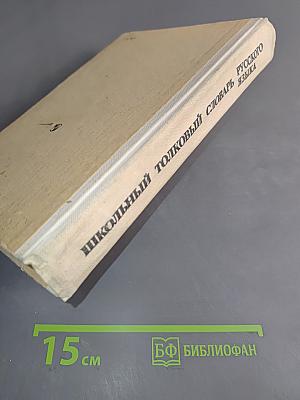 Школьный толковый словарь русского языка