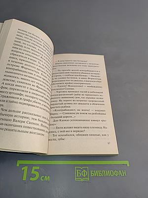 Возвращение капитана мародеров