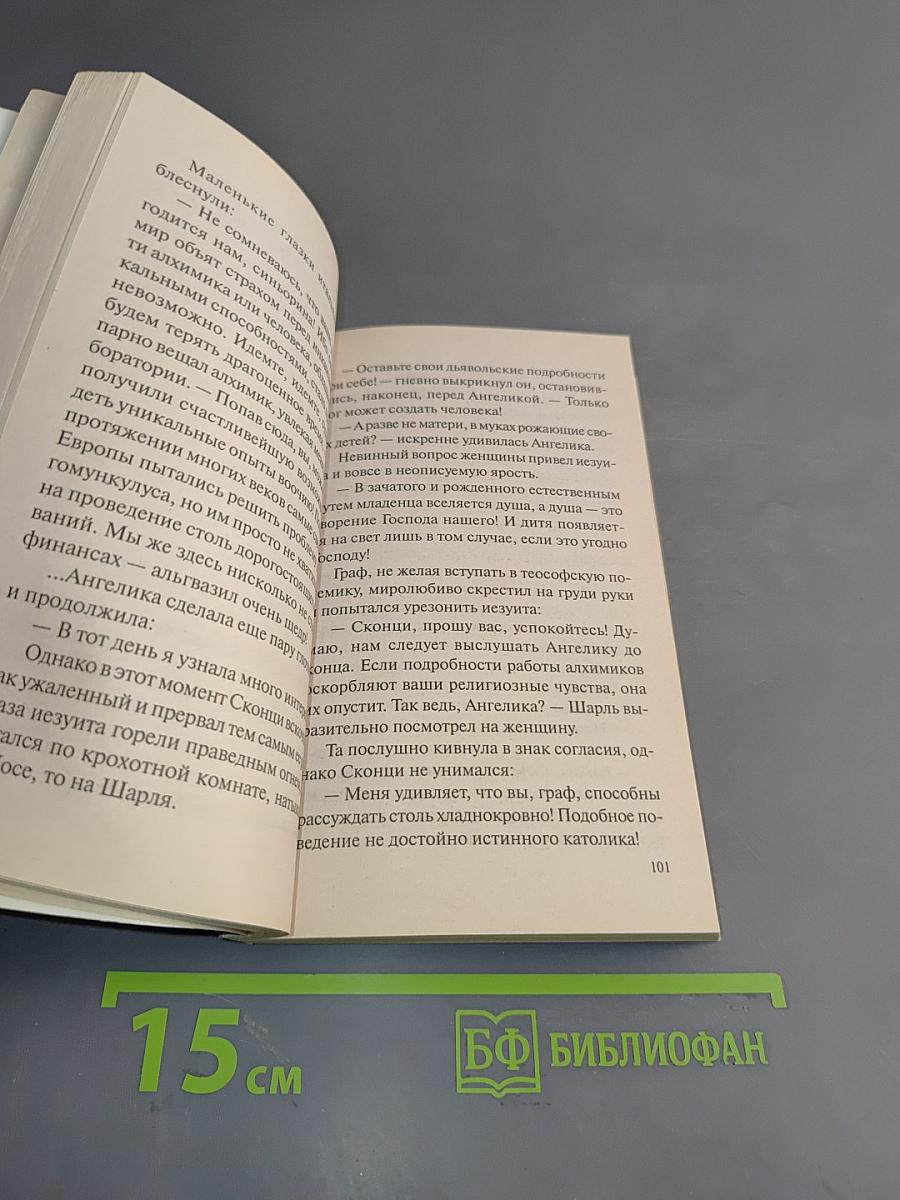 Возвращение капитана мародеров