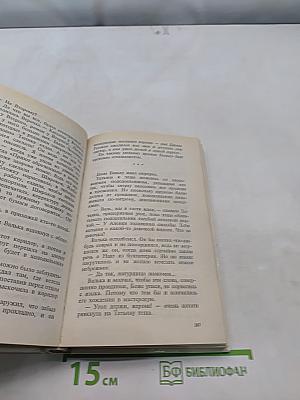Демон справедливости. Секунданты. Запах янтаря