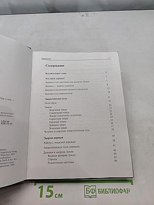 Деревья лечат. Все о целительной силе деревьев