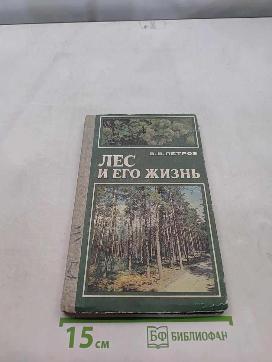Лес и его жизнь