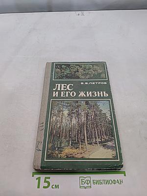 Лес и его жизнь