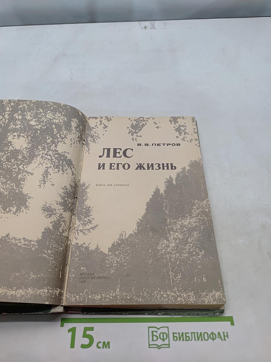 Лес и его жизнь
