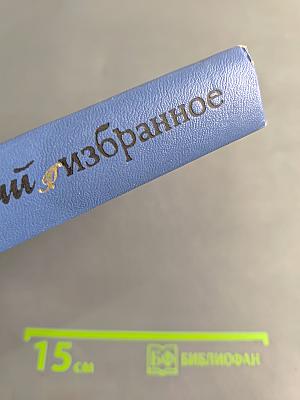 Избранные произведения. Том второй. Золотая роза. Повесть. Рассказы