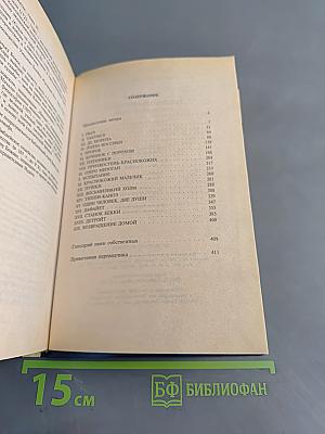 Краснокожий Пророк. Сказание о Мастере Элвине