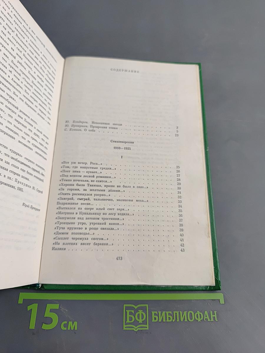 Собрание сочинений в двух томах. Том 1. Стихотворения, поэмы