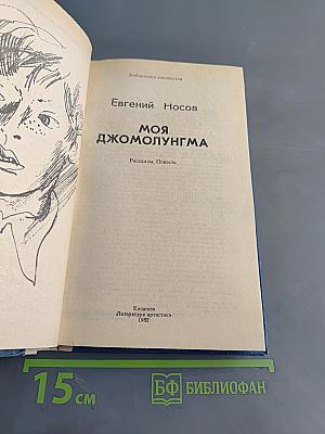 Моя Джомолунгма