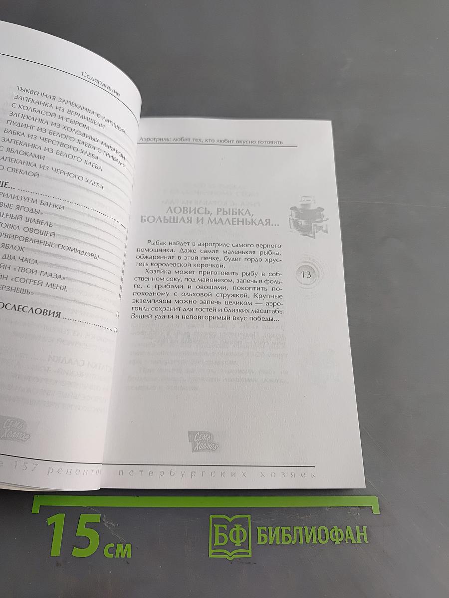 Аэрогриль: Удачный сезон. Еще 157 рецептов петербургских хозяек