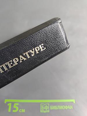Хрестоматия по литературе для 10-11 классов