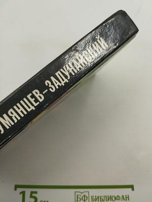 Румянцев-Задунайский. Книга первая