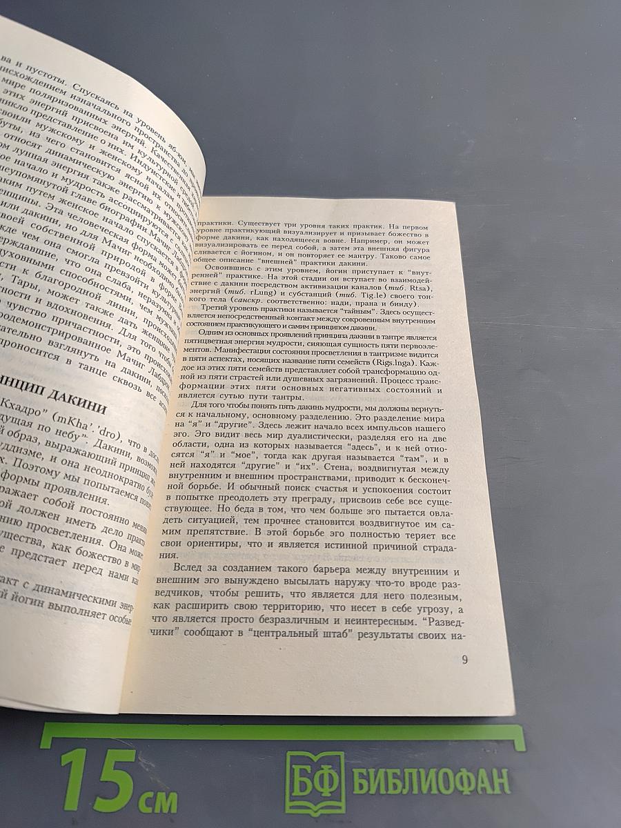 Знаменитые йогини. Женщины в буддизме