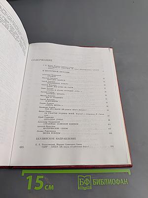 Венок славы. Том 11. Победа