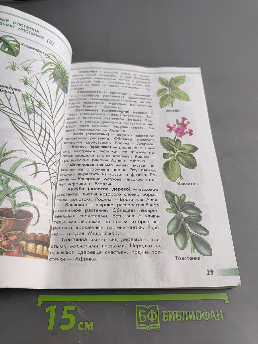 От Земли до неба. Атлас-определитель