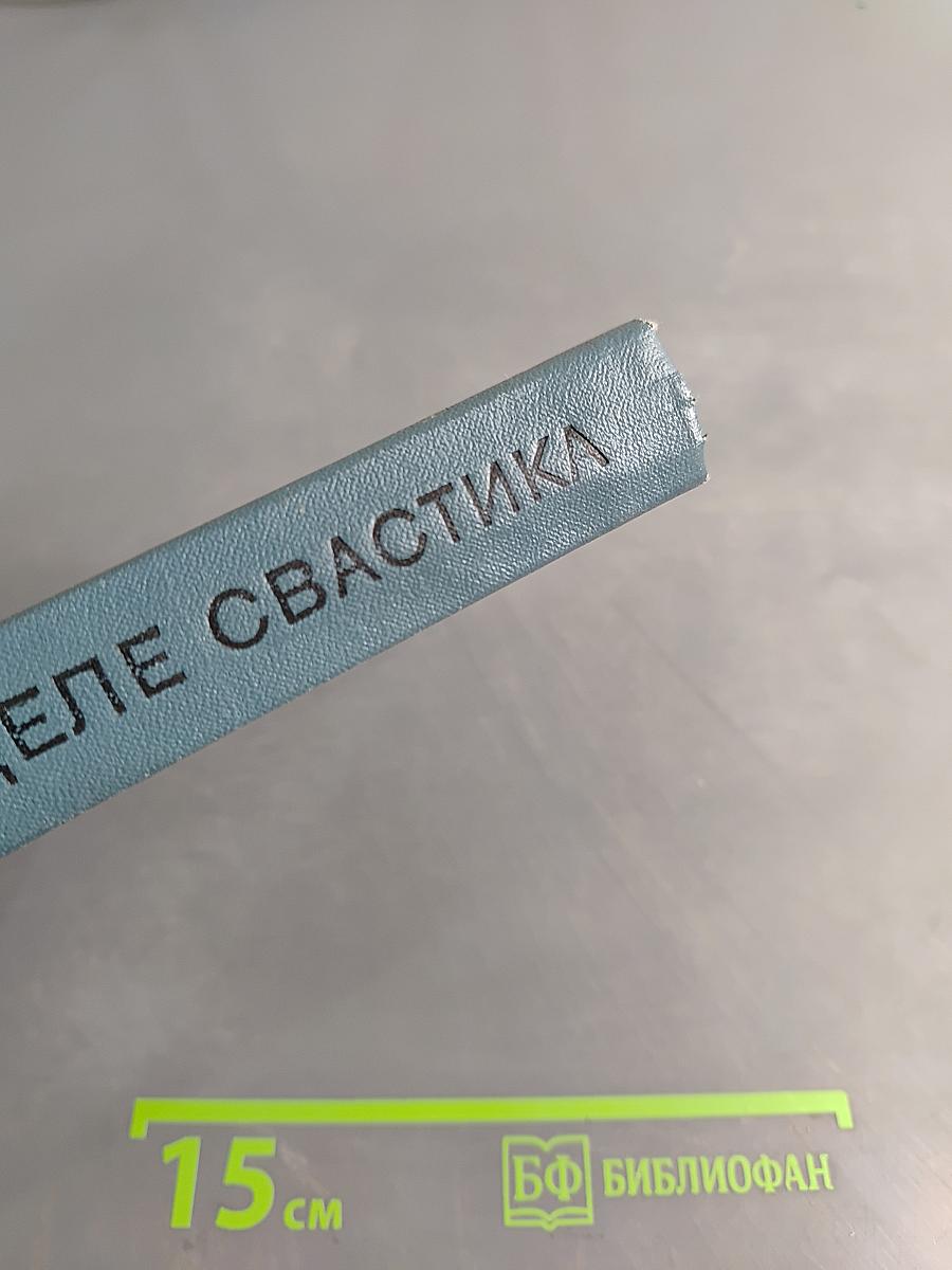 В прицеле свастика