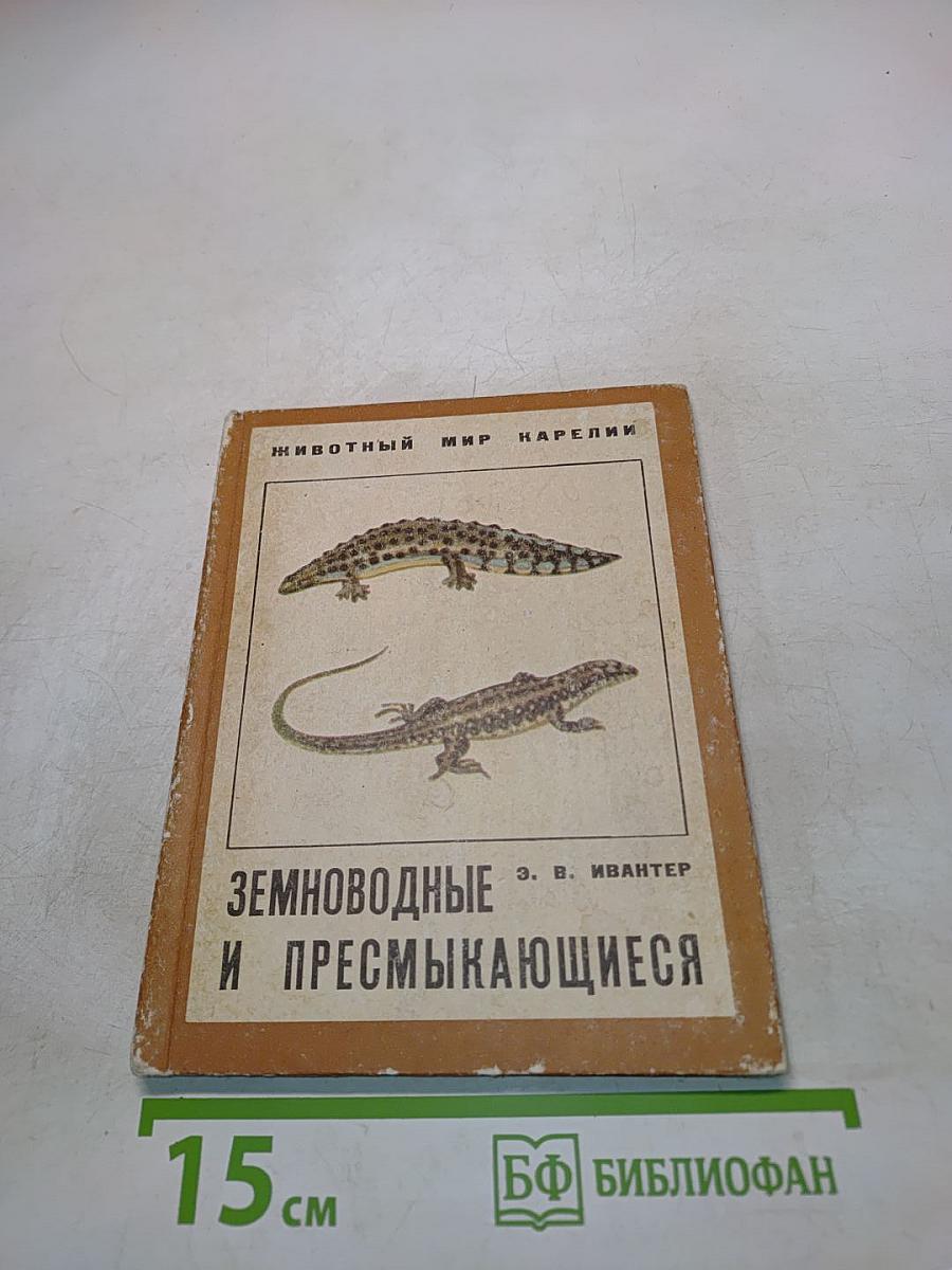 Земноводные и пресмыкающиеся