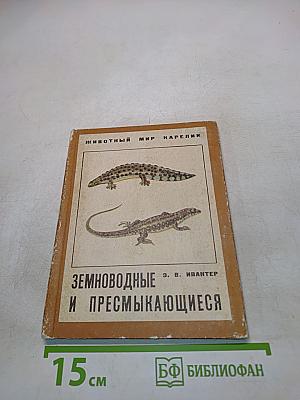 Земноводные и пресмыкающиеся