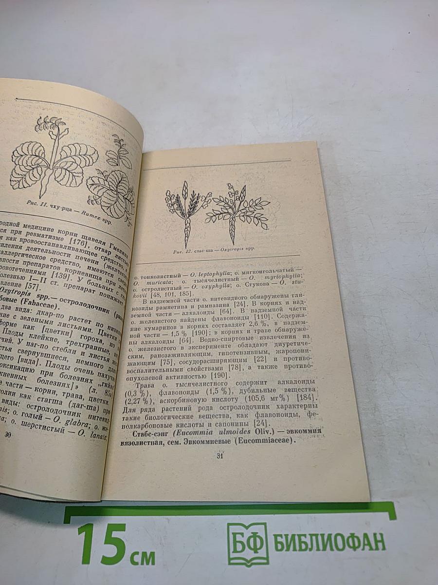 Раны и их лечение в тибетской медицине