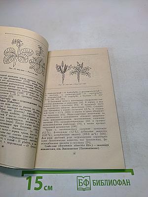 Раны и их лечение в тибетской медицине