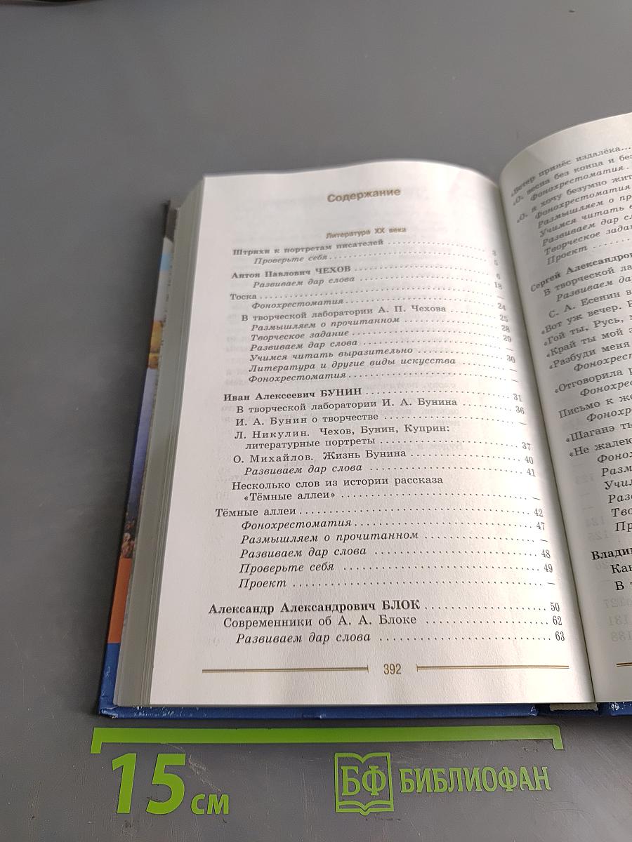 Литература. 9 класс. Учебник для общеобразовательных организаций. В двух частях. Часть 2