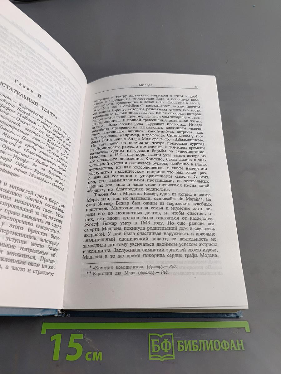 Мольер, Вольтер, Руссо, Дидро, Ренан. Жизнь замечательных людей