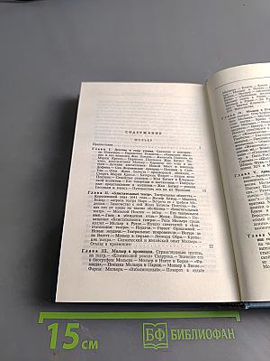 Мольер, Вольтер, Руссо, Дидро, Ренан. Жизнь замечательных людей