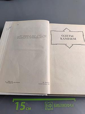 Одеты камнем. Радищев. Михайловский замок