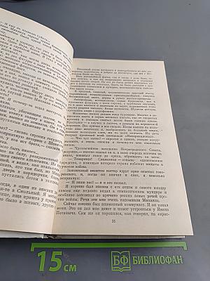 Одеты камнем. Радищев. Михайловский замок