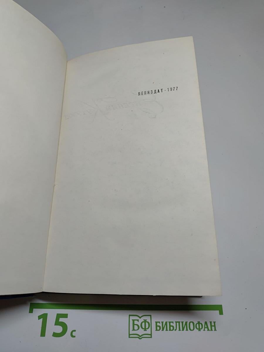 Вечные хлопоты. Книга 2