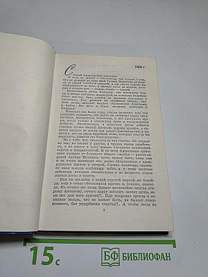 Вечные хлопоты. Книга 2