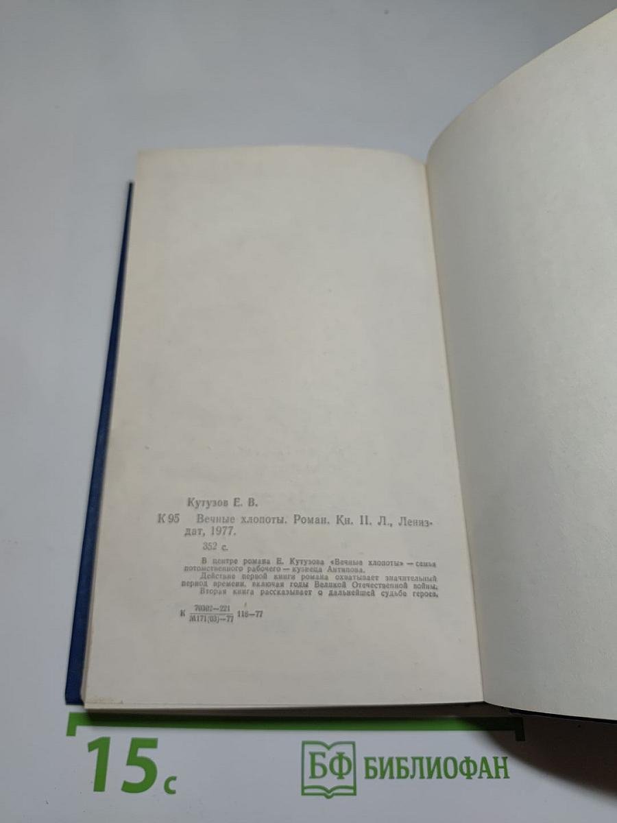 Вечные хлопоты. Книга 2