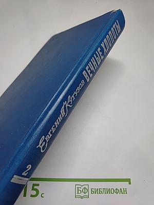 Вечные хлопоты. Книга 2
