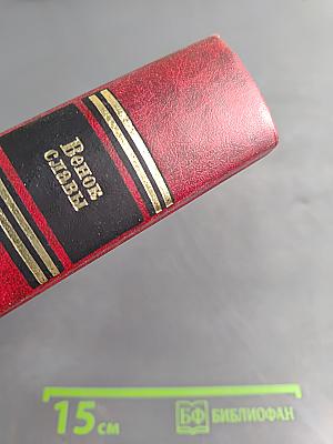 Венок славы. Том 10. Освобождение Европы