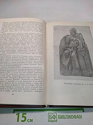 Полоцк: Исторический очерк