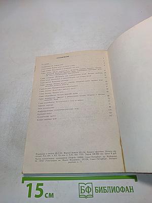 Печь в садовом доме