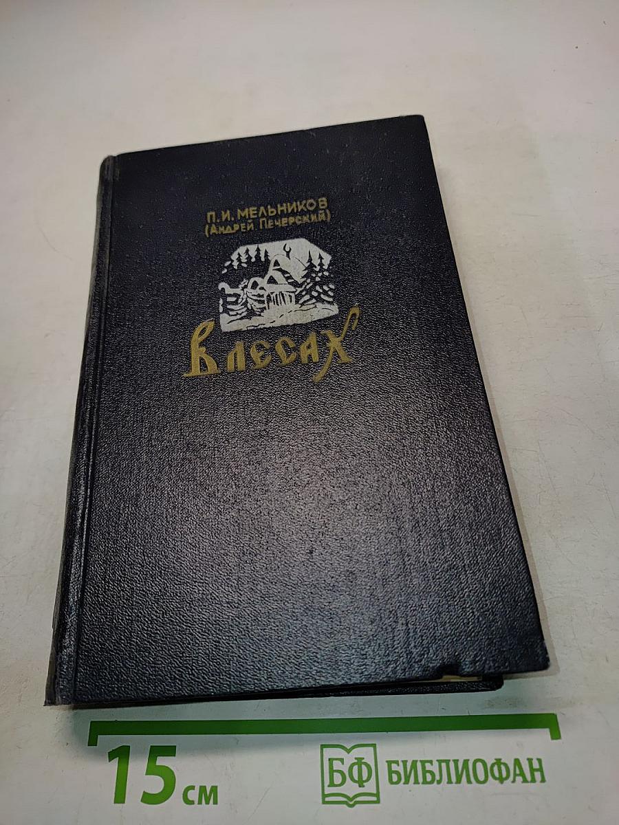 В лесах. В двух книгах. Книга первая