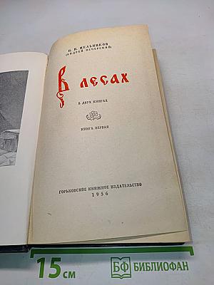 В лесах. В двух книгах. Книга первая